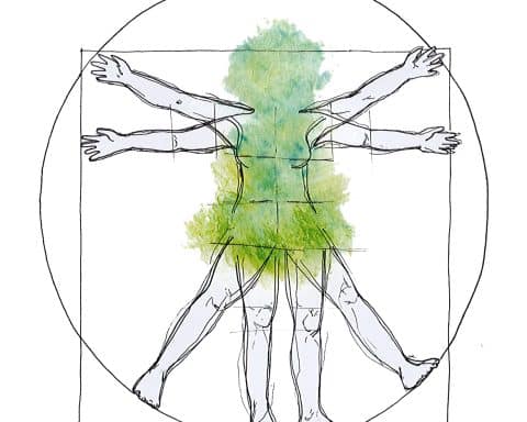 En målning inspirerad av Leonardo da Vincis "Vitruvianske mannen", men med grön färg där ansiktet ner till midjan ska vara.