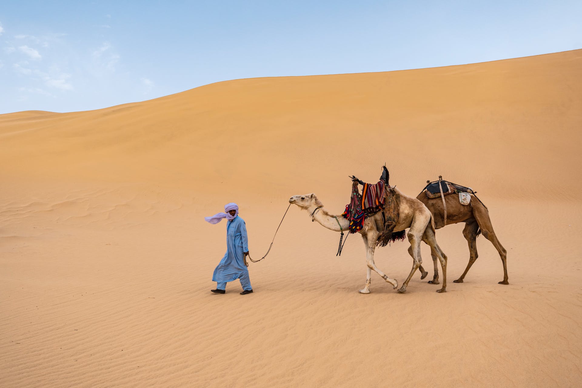 A man in traditional Saharan clothing walks his two camels across the desert.