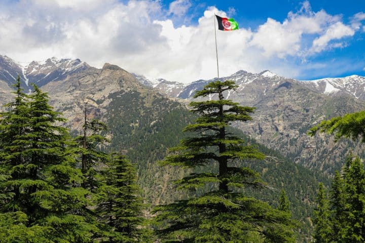 The old flag of Afghanistan hangs from a tree in a forest somewhere in Afghanistan. Mountains dominate the landscape behind it.