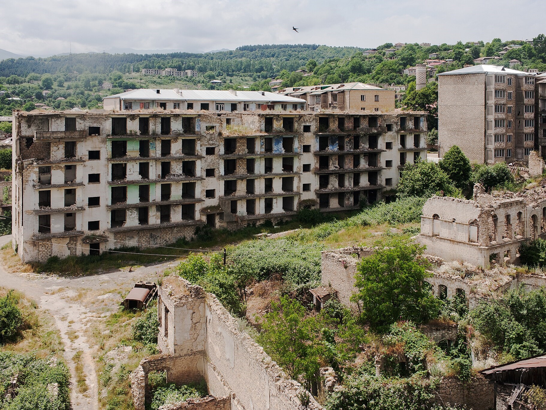 A ruined apartment block in a small city, overgrown with vegetation.