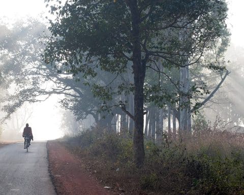 A man on a bicycle.
