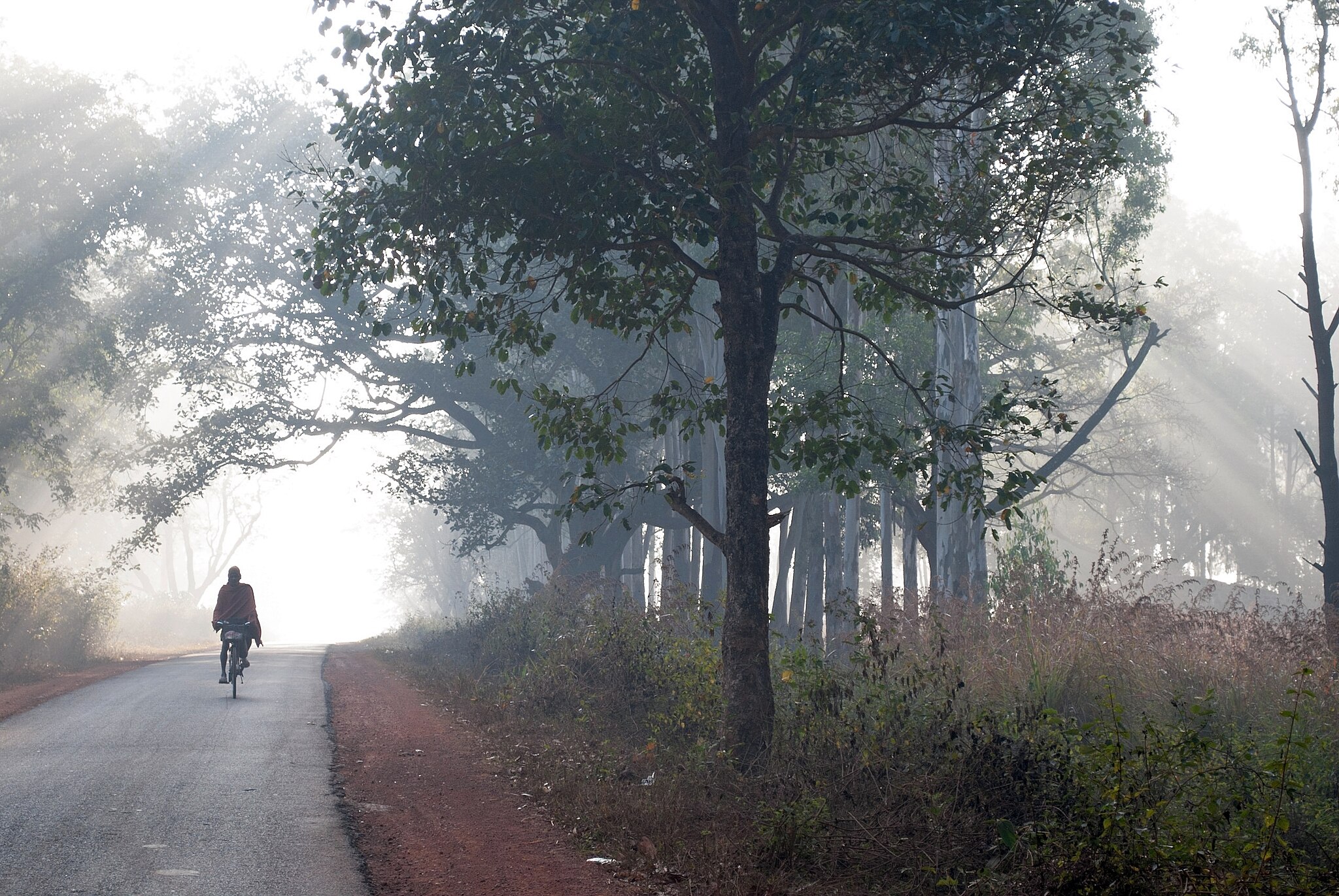 A man on a bicycle.
