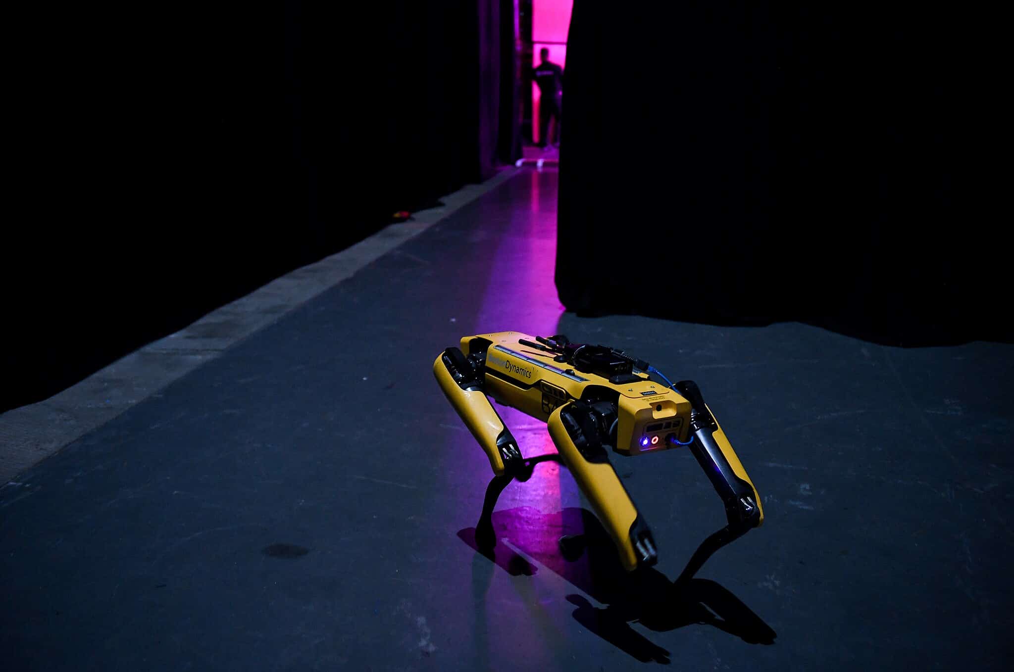A Boston Dynamics robot.