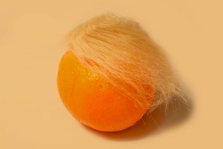 An orange with blond hair.