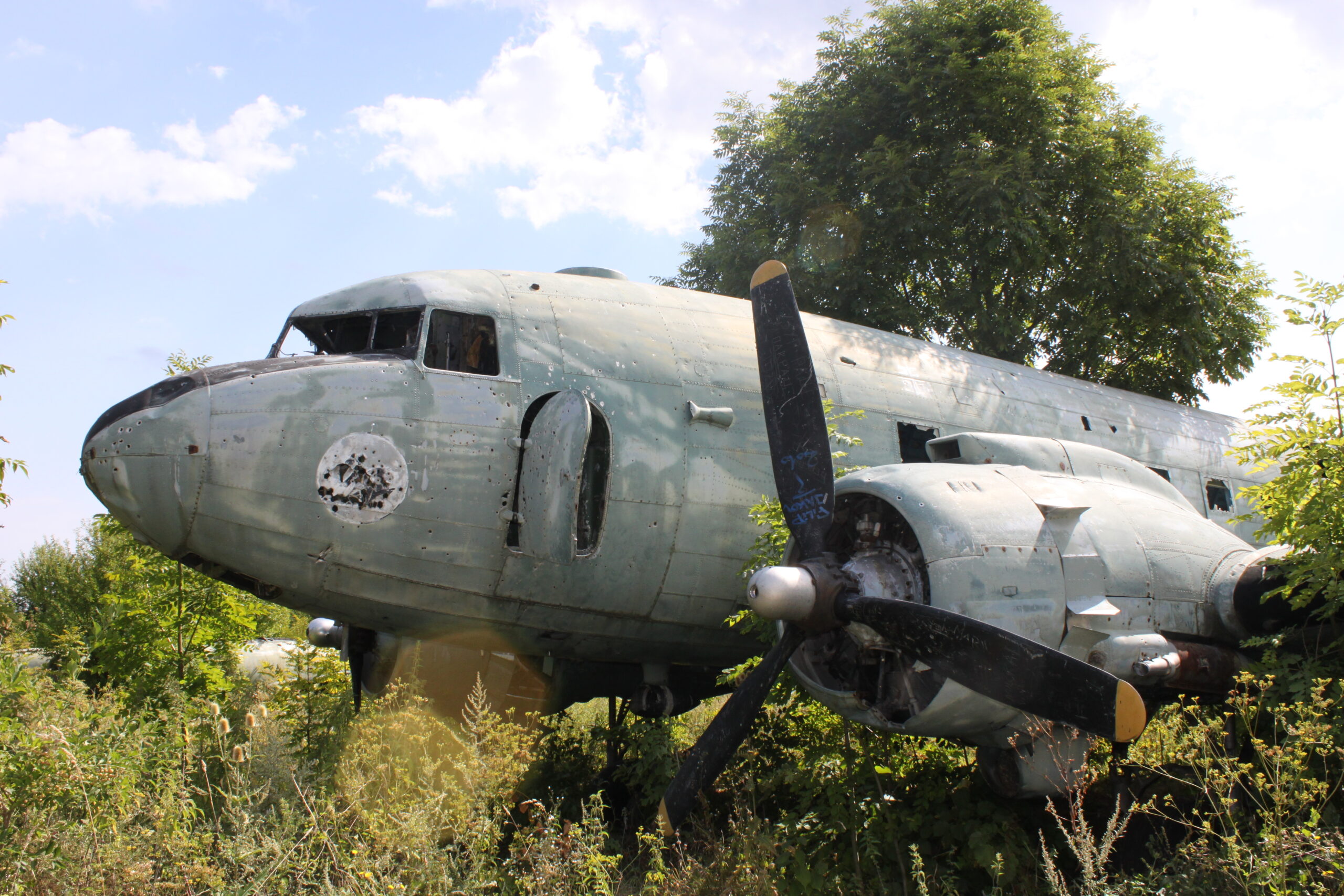 A rusted and derelict plane sitting in an overgrown field.
